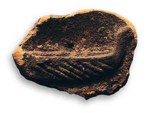 Arkeolan-en lantaldeak 2008an Oiartzungo Arditurriko meategi
handian (Arditurri 20) egindako arkeologi indusketetan.