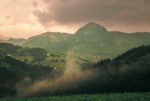 The mountainous geography of the Basque Country led to the
growth of a wide variety of different tree species on the hillsides.
As well as the abundant oaks -the wood most often used in the
shipyards- other species such as beech, chestnut, ash, walnut, fir
and holly were also used to make oars, pulleys, masts, etc.
