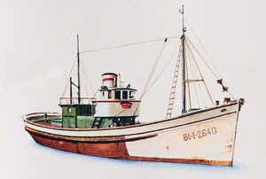 Multi-purpose diesel-powered tuna boat. 1940. The replacement
of steam by diesel, completed by the 1940s, freed up more
space on board. The coal store, boiler and fresh water tank for the
steam were replaced by refrigerators for storing the fish. This
increased the number of fishing days and enhanced productivity.
