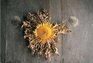 Eguzkilore, flor de smbolo solar que se colocaba en las puertas de las casas para portegerse de las brujas
