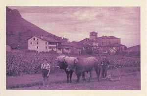 Vista de Aizarna en Agosto de 1959