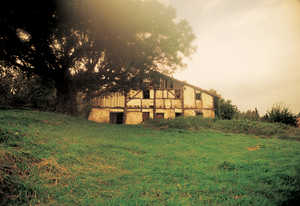 39.	El caserio Balanzategi Haundi (Zarautz) se protege bajo la sombra de una corpulenta encina.