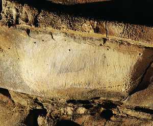 83. Bison peint sur un ensemble ray, qui domine l'une des galeries de la grotte.