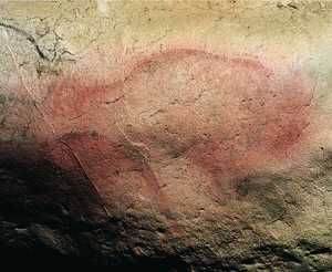 106. Bison peint en rouge au moyen d'oxydes naturels de fer (limonite). On observera la queue releve. La figure s'interrompt sur ses pattes arrire, pour ne pas occulter la croupe du cheval rouge situ derrire lui et en dessous.
