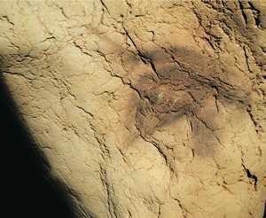 95. Gran cabeza de caballo pintada a tinta plana. Es la primera figura de la cueva y parece anunciar que sta constituye un santuario del caballo.© Jess Altuna