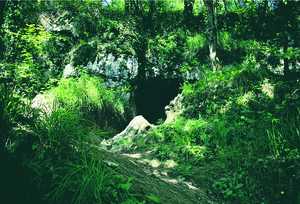 90. Original entrance to the Ekain cave.© Jess Altuna