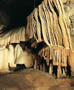94. A view of the interior of the Ekain cave, with its beautiful stalagmite formations.© Jess Altuna