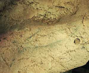 100. Izokin pintatua. Begia eta bizkarreko aurrealdea egiteko arrokaren berezko zulo bat eta ertza erabili zituzten.© Jess Altuna