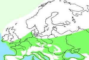 16. Europe during the last Ice Age. A great ice cap covered the entire northern part of the continent and large glaciers ran down from the Alps, Pyrenees and other mountain ranges.