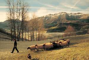 169. El pastoreo en los montes de Aizkorri puede remontarse al Neoltico, hace unos seis mil aos. © Xabi Otero