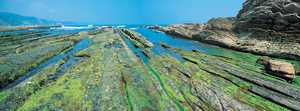 147. On trouve divers endroits de la cte guipuzcoane appropris pour l'installation de parcs  pche, notamment le plateau marin de Zumaia.© Xabi Otero