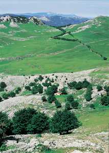 50. Roman remains have been found as far as the hills of Aizkorri. Valley of Urbia.© Arkeolan Ikerketa Zentroa. Irun