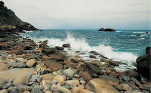 148. L'utilisation des ressources de la mer est documente depuis des temps reculs de la Prhistoire.© Lamia