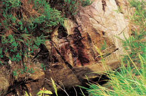 154. Metalworking relied on the existence of outcrops of mineral ore.© Lamia