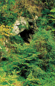 39. Grotte d'Iritegi (Oati).© Lamia