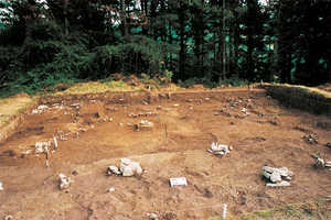 90. Alignment of post wedges from the dwelling at Basagain.© Xabier Pealver